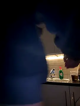 Michel huge online show from November 27, 2025, 8:27 am