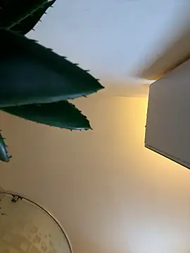 Michel huge online show from January 12, 2026, 6:51 am