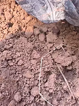 Snapshot of Hot_raaani chatting on November 7, 2025, 6:13 am Hot raaani online show from November 7, 2025, 6:13 am