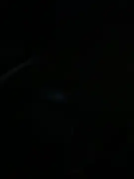 Snapshot of Pipegod007 chatting on December 18, 2025, 7:58 am Pipegod007 online show from December 18, 2025, 7:58 am