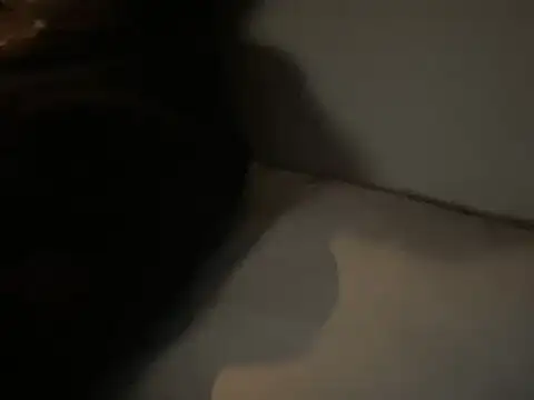 Snapshot of dddasani chatting on December 15, 2025, 6:45 pm dddasani online show from December 15, 2025, 6:45 pm