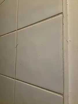 Snapshot of raen001 chatting on November 6, 2025, 8:54 pm raen001 online show from November 6, 2025, 8:54 pm