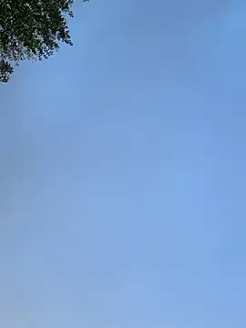 Snapshot of raen001 chatting on November 24, 2025, 8:47 am raen001 online show from November 24, 2025, 8:47 am