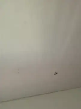 lana rousse01 online show from September 9, 2025, 2:49 pm