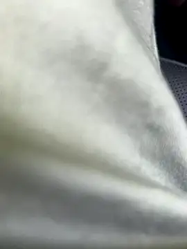 Snapshot of Zoro404040 chatting on September 16, 2025, 8:48 am Zoro404040 online show from September 16, 2025, 8:48 am