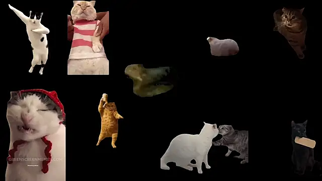 ch0wn m online show from February 1, 2026, 2:59 pm