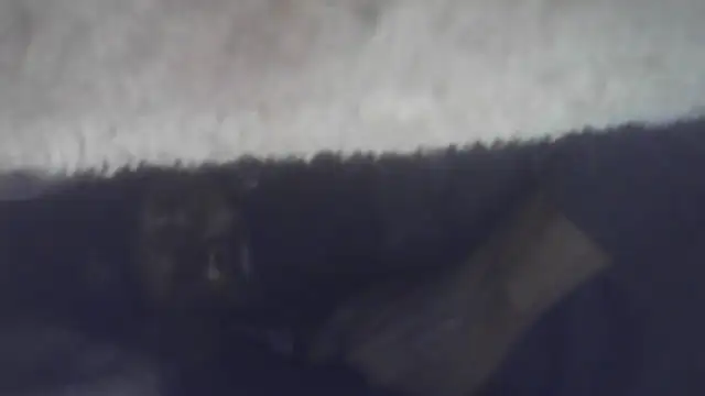 Snapshot of cuminsidebby chatting on July 23, 2026, 3:15 am cuminsidebby online show from July 23, 2026, 3:15 am