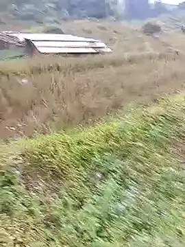 Snapshot of Phuongphuongg chatting on October 20, 2025, 2:23 am Phuongphuongg online show from October 20, 2025, 2:23 am