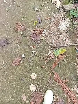 Snapshot of Phuongphuongg chatting on October 27, 2025, 4:27 am Phuongphuongg online show from October 27, 2025, 4:27 am