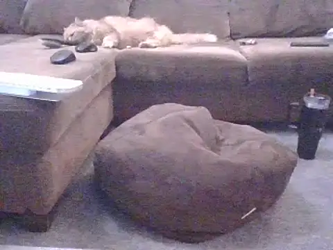 Jassonishorny online show from March 8, 2026, 7:28 pm