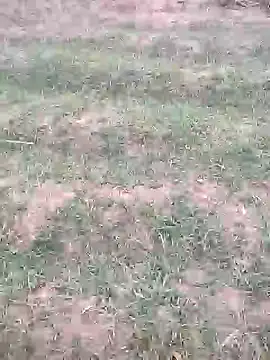 sonotutto online show from October 12, 2025, 5:56 pm