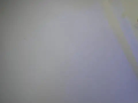 Snapshot of Theevae chatting on October 14, 2025, 11:11 am Theevae online show from October 14, 2025, 11:11 am