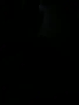 Reeelo online show from November 7, 2025, 3:06 am