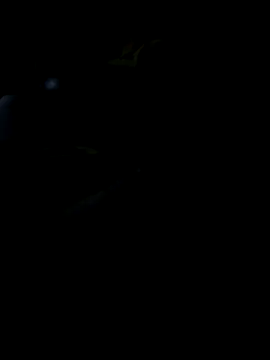 Reeelo online show from November 19, 2025, 5:57 pm