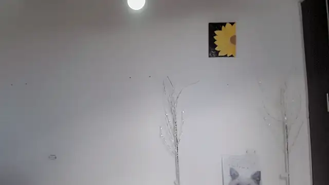 Stein  online show from September 15, 2025, 1:55 pm