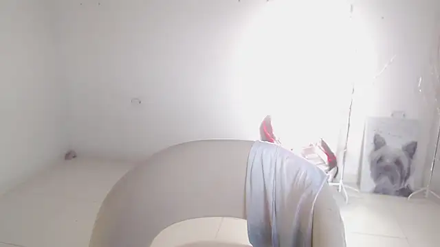 Stein  online show from September 26, 2025, 12:09 pm