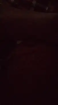 wanderboy1000 online show from January 19, 2026, 3:05 pm