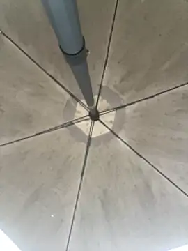 Sallem Pink online show from March 6, 2026, 11:17 am