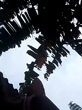 optra34 online show from October 22, 2025, 11:37 pm