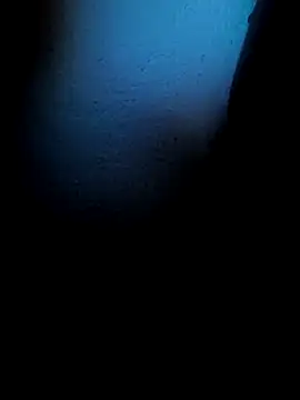 Mancho2289 online show from April 13, 2026, 4:40 am