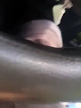 Snapshot of Frank0021 chatting on November 4, 2025, 5:34 pm Frank0021 online show from November 4, 2025, 5:34 pm