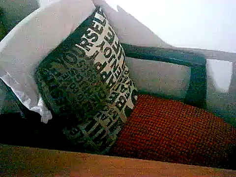 Snapshot of sacptjock83 chatting on December 17, 2025, 8:59 pm sacptjock83 online show from December 17, 2025, 8:59 pm