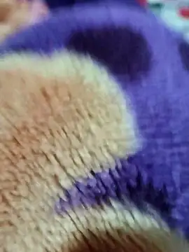 sana-5 online show from March 15, 2026, 3:18 pm