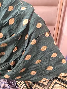 Snapshot of Indian-Aleena chatting on February 17, 2026, 5:26 am Indian-Aleena online show from February 17, 2026, 5:26 am