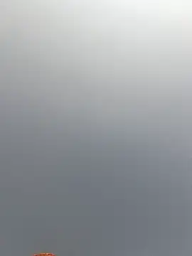 Cut rajbati online show from November 29, 2025, 6:16 am