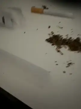 Snapshot of evawx9 chatting on March 19, 2026, 6:12 pm evawx9 online show from March 19, 2026, 6:12 pm