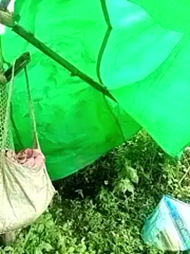 Snapshot of cicnci chatting on November 9, 2025, 2:32 am cicnci online show from November 9, 2025, 2:32 am