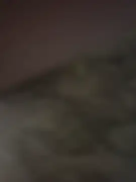 Snapshot of gigoloboymumbai00 chatting on October 23, 2025, 8:07 pm gigoloboymumbai00 online show from October 23, 2025, 8:07 pm