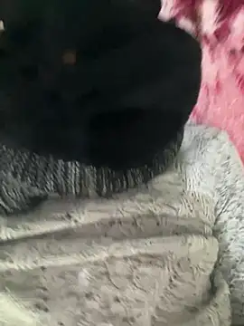 Snapshot of Yasar-Xxxl chatting on February 12, 2026, 1:44 am Yasar-Xxxl online show from February 12, 2026, 1:44 am