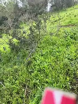 Snapshot of Yasar-Xxxl chatting on March 6, 2026, 3:52 pm Yasar-Xxxl online show from March 6, 2026, 3:52 pm