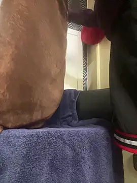 Snapshot of Yasar-Xxxl chatting on March 12, 2026, 3:29 pm Yasar-Xxxl online show from March 12, 2026, 3:29 pm