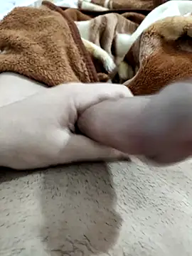 Zepe 12 online show from February 10, 2026, 8:40 am