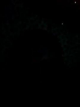 UntidyGuar online show from November 4, 2025, 3:16 am