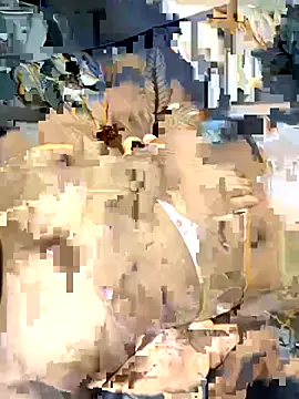 Snapshot of desitease chatting on September 15, 2025, 8:03 am desitease online show from September 15, 2025, 8:03 am