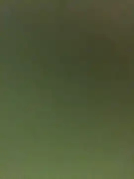 JuanitaMore01 online show from February 16, 2026, 9:55 pm