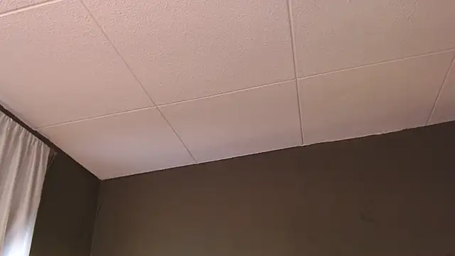 PaulEvens online show from December 5, 2025, 1:31 pm