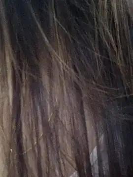 Snapshot of DPK25 chatting on December 21, 2025, 11:06 am DPK25 online show from December 21, 2025, 11:06 am