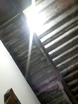 Snapshot of Madison_1 chatting on November 6, 2025, 4:13 am Madison 1 online show from November 6, 2025, 4:13 am