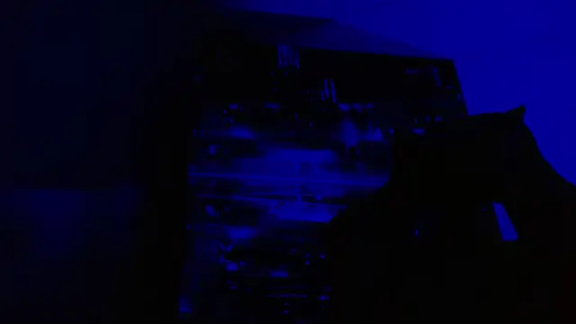 alexgiraldo   online show from May 27, 2026, 6:49 pm