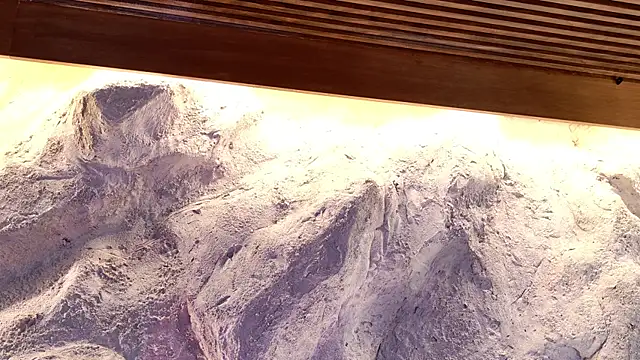 Snapshot of Katarina_Rostova chatting on November 19, 2025, 5:02 pm Katarina Rostova online show from November 19, 2025, 5:02 pm