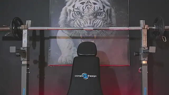 Snapshot of DimitriDeluxe chatting on December 3, 2025, 7:45 pm DimitriDeluxe online show from December 3, 2025, 7:45 pm