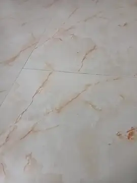 Snapshot of Samantaapu chatting on November 16, 2025, 2:00 pm Samantaapu online show from November 16, 2025, 2:00 pm