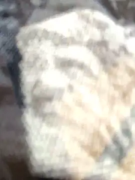 Zoe73  online show from February 25, 2026, 8:18 pm