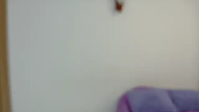 Blazing Haze online show from November 2, 2025, 7:55 am