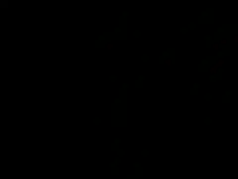 allybluee777 online show from March 7, 2026, 11:02 pm