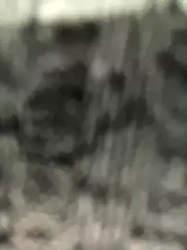 Snapshot of caroline__muller chatting on October 14, 2025, 10:49 am caroline muller online show from October 14, 2025, 10:49 am